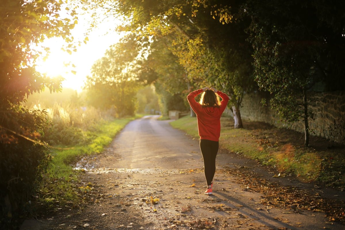 Lions Mane Complex: Explore the Benefits of Quality British Health Supplements for Improved Wellness - Twenty First Century Herbs